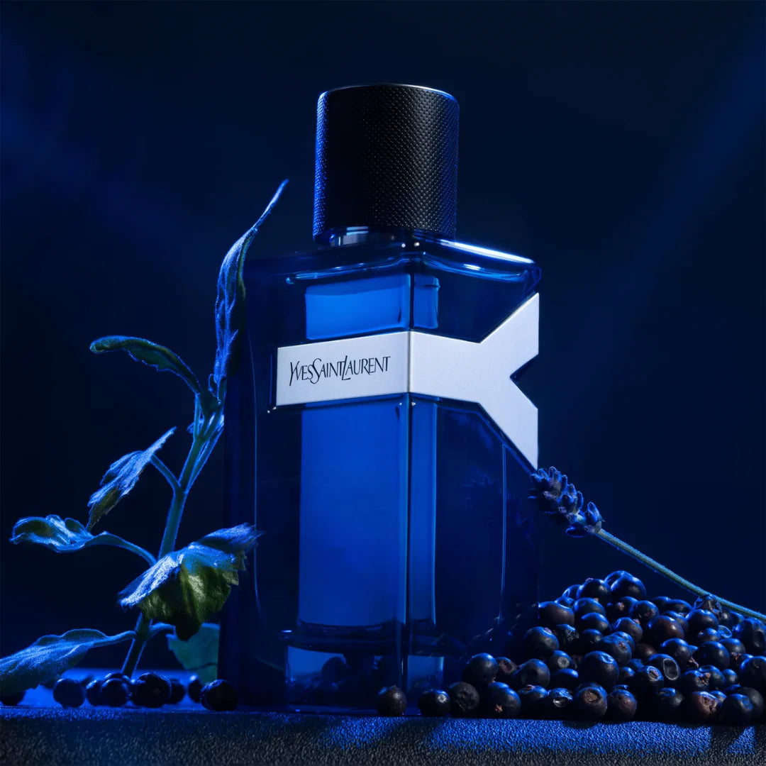 Yves Saint Laurent Y Eau de Parfum Intense